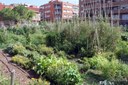 L’Ajuntament de Tàrrega obre la convocatòria per optar a fer ús dels horts urbans municipals durant l’any 2026