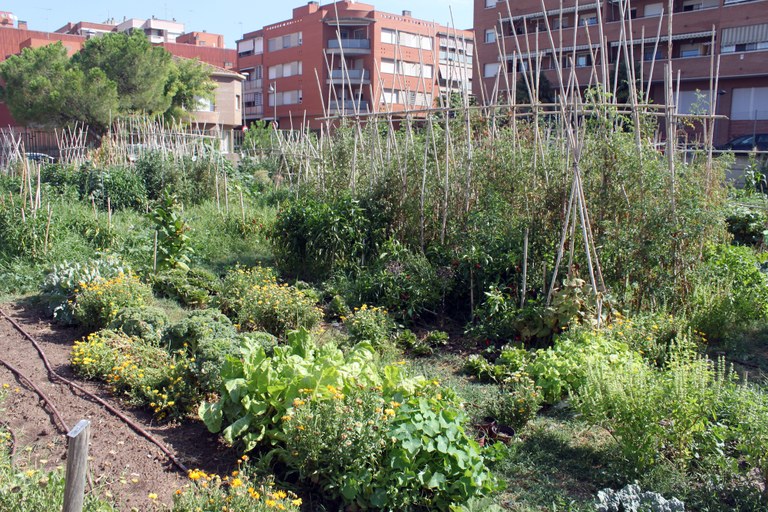 L’Ajuntament de Tàrrega obre la convocatòria per optar a fer ús dels horts urbans municipals durant l’any 2026