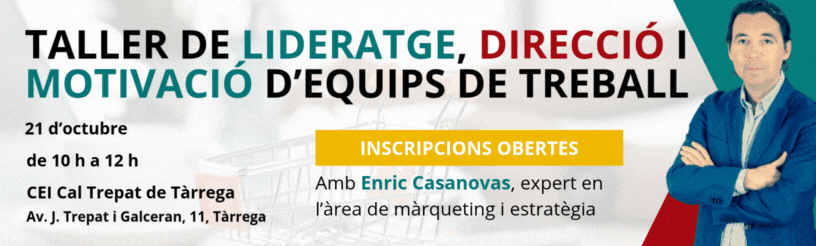 Taller en Lideratge, Direcció i Motivació d'Equips de Treball