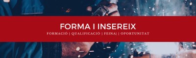Informació al Programa Forma i Insereix 2024
