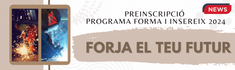 Forma i Insereix 2024
