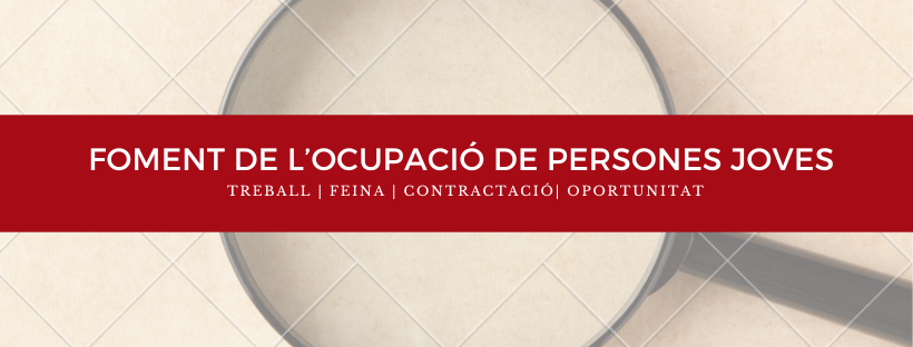 Foment de l’ocupació de persones joves 