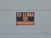 DSC01324.JPG