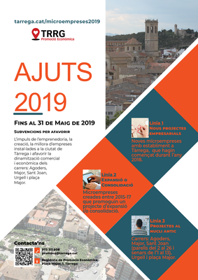 Ajuts microempreses 2019 cara A