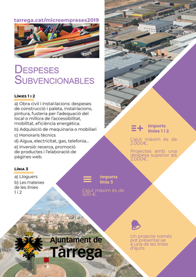 Ajuts microempreses 2019 cara B