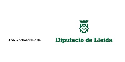 Logo Diputació LLeida